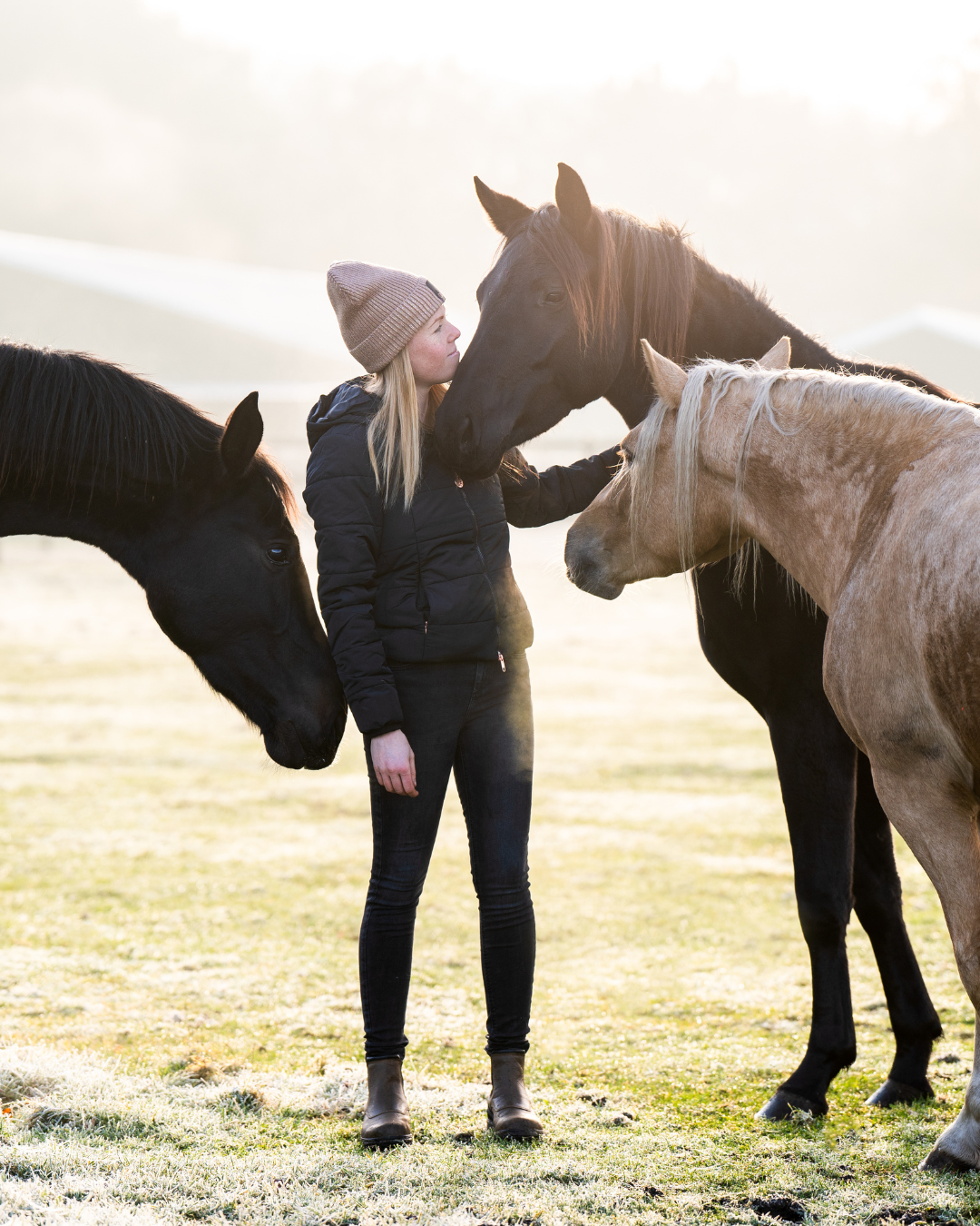 Astrid met drie paarden in het ochtendlicht