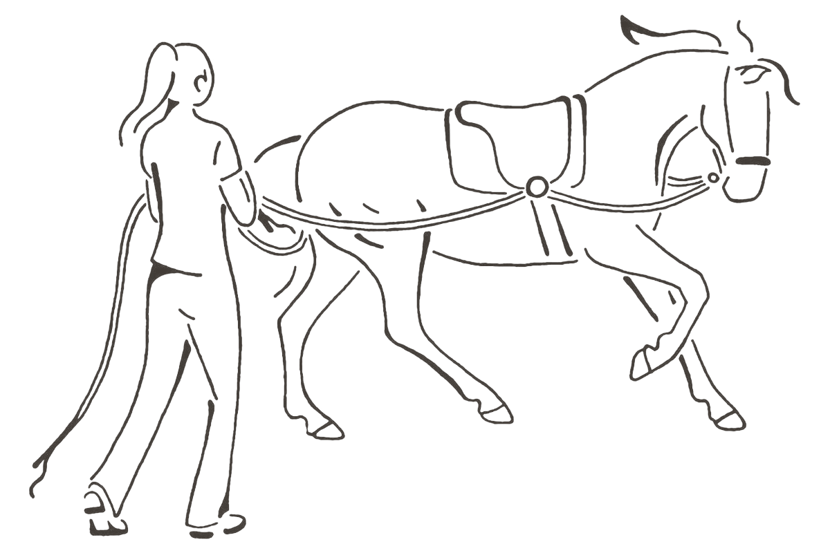Vrouw die een paard werkt aan dubbele lange lijnen