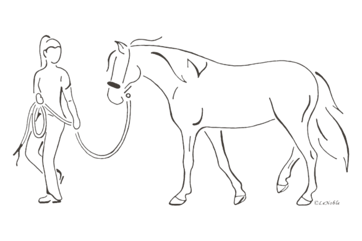 Vrouw die een paard aan de hand leidt