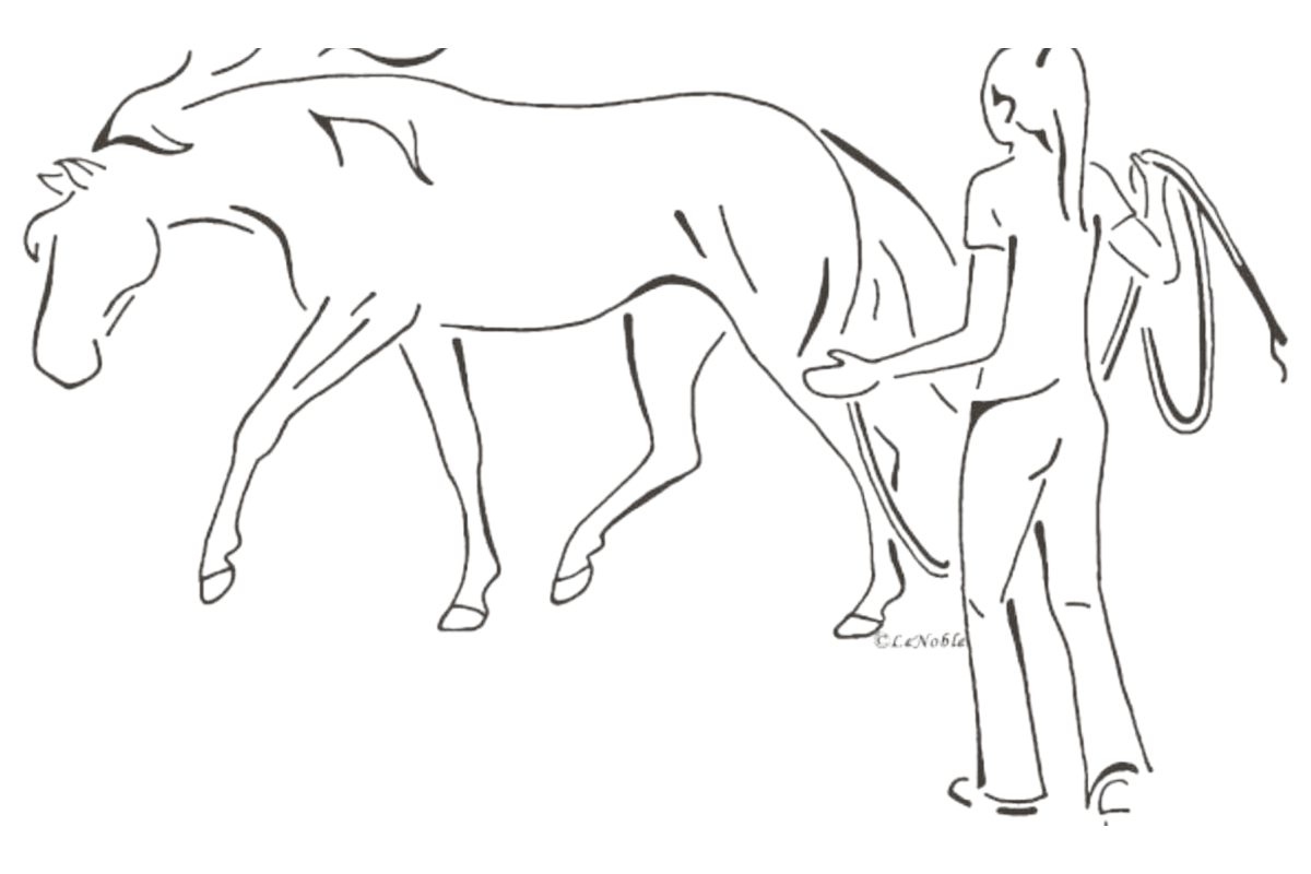 Vrouw die communiceert met een paard vanaf de grond