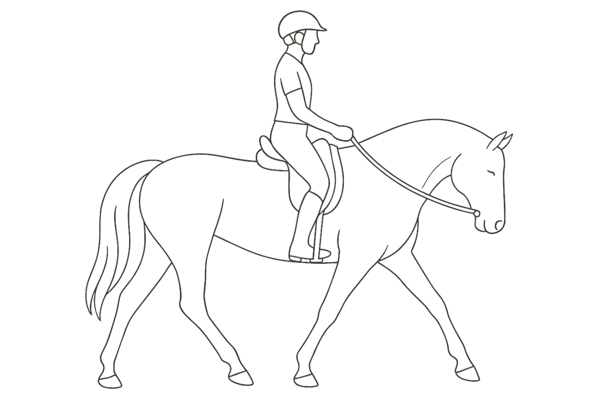Ruiter te paard in klassieke rijkunst